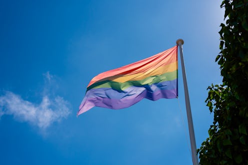 The gay pride rainbow flag