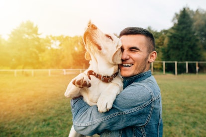 Happy young man holding dog Labrador in hands at sunset outdoors 