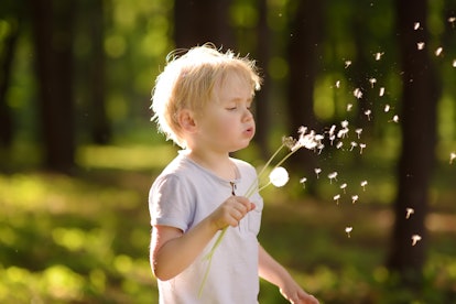 Kids can't make wishes until a certain age, like this young boy blowing a dandelion to make a wish. ...