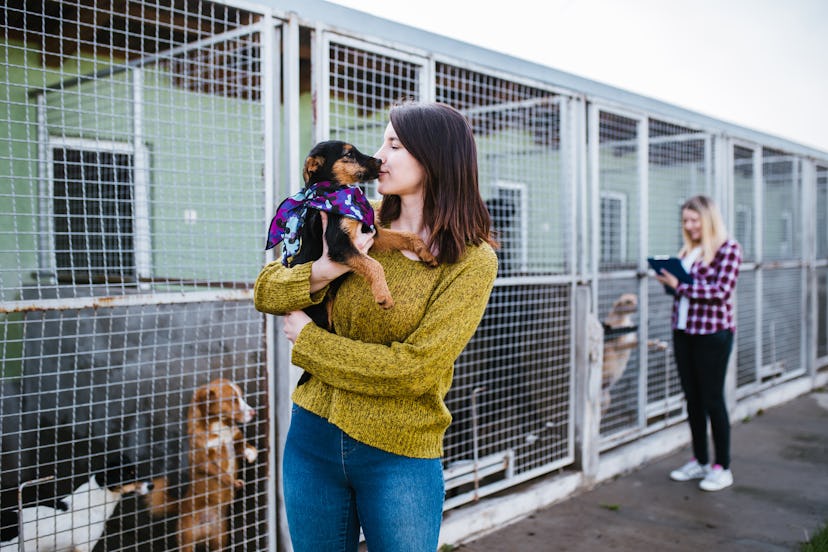 There are lots of ways to help dogs in shelters during Dogtober.