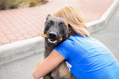 You can volunteer online with the Humane Society. 