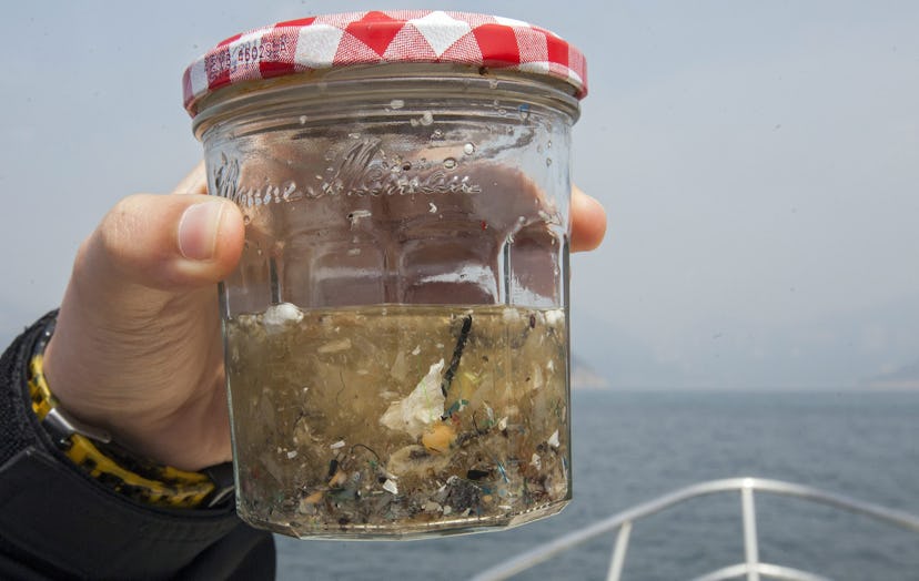 An Environmental Sciences Student From the University of Hong Kong Holds Up a Glass Jar Containing a...