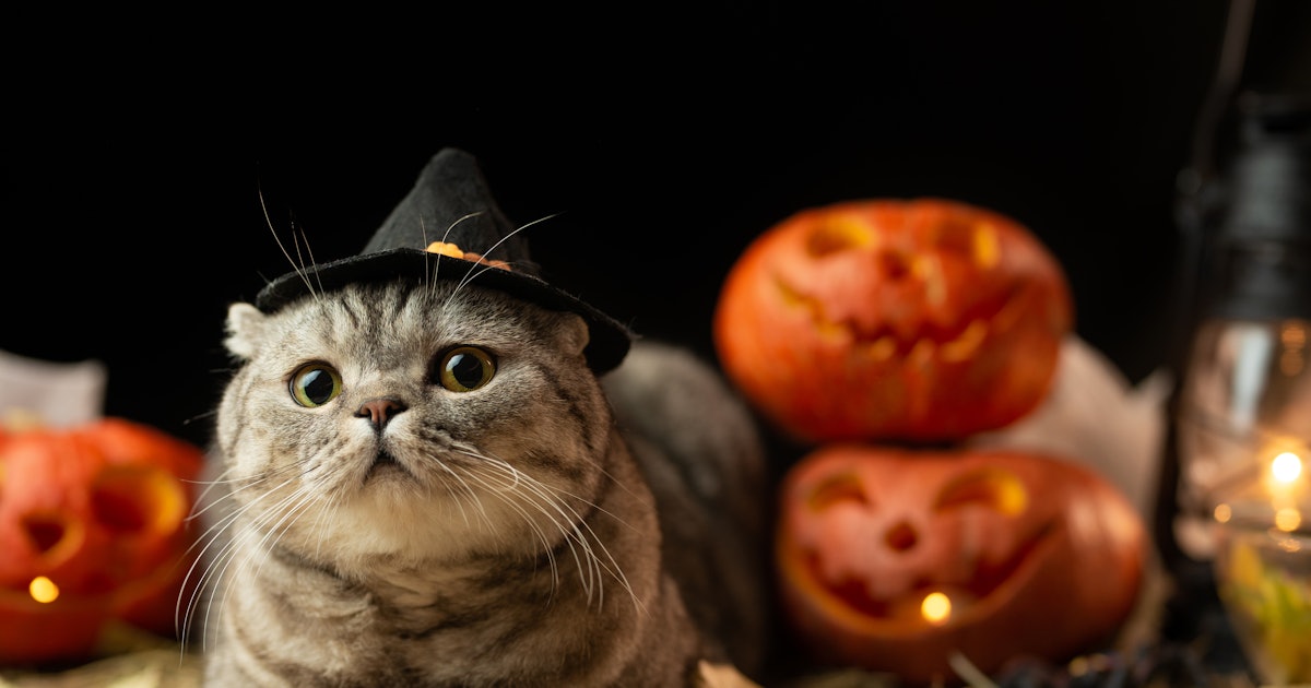 18 Quotes About Halloween That Are Perfect For Spooky Instagram Captions