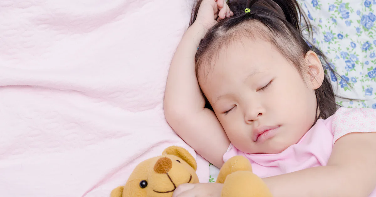 What Do Toddlers Dream About What Do Toddlers Dream About
