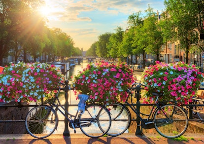 Beautiful summer sunrise on the famous UNESCO world heritage canals of Amsterdam, The Netherlands, w...