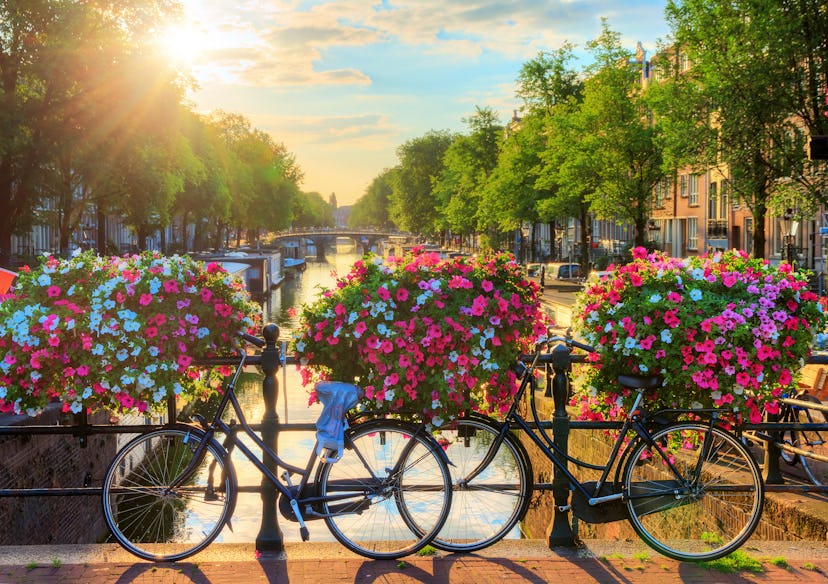 Beautiful summer sunrise on the famous UNESCO world heritage canals of Amsterdam, The Netherlands, w...