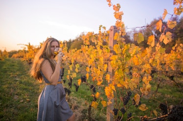 A young woman drinks a glass of wine at a vineyard in front of the vines at sunset.