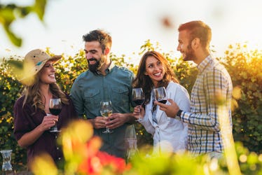 A group of friends at a winery laughs and holds up their wine glasses in front of the vines at sunse...