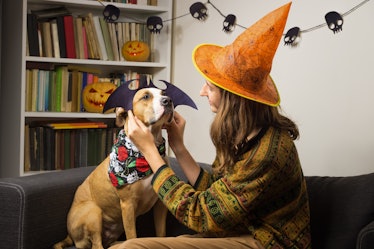 A girl wearing a witch hat dressing up her dog in a Halloween bat costume would need captions for an...