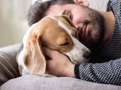 A man cuddles and takes a nap with a dog on the couch.