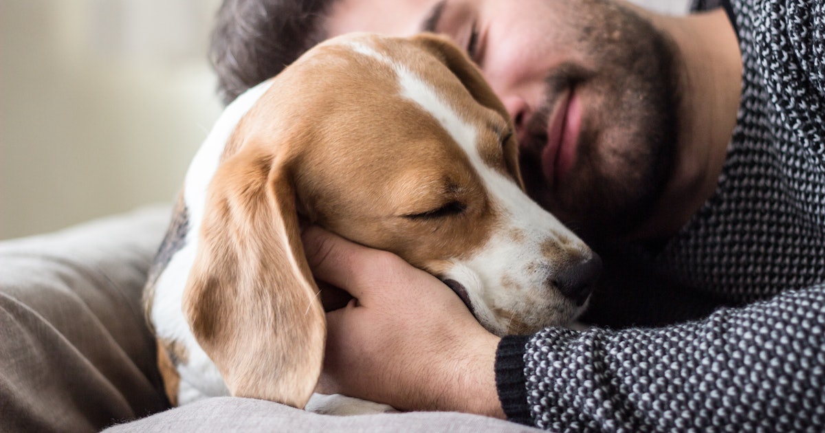 30 Captions For Pics Of Your Dog With Your Partner That Are Impawsibly Cute