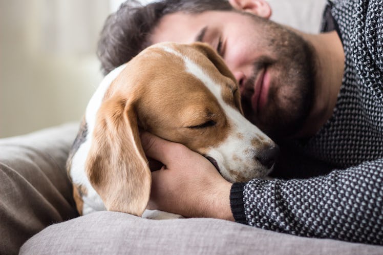 A man cuddles and takes a nap with a dog on the couch.