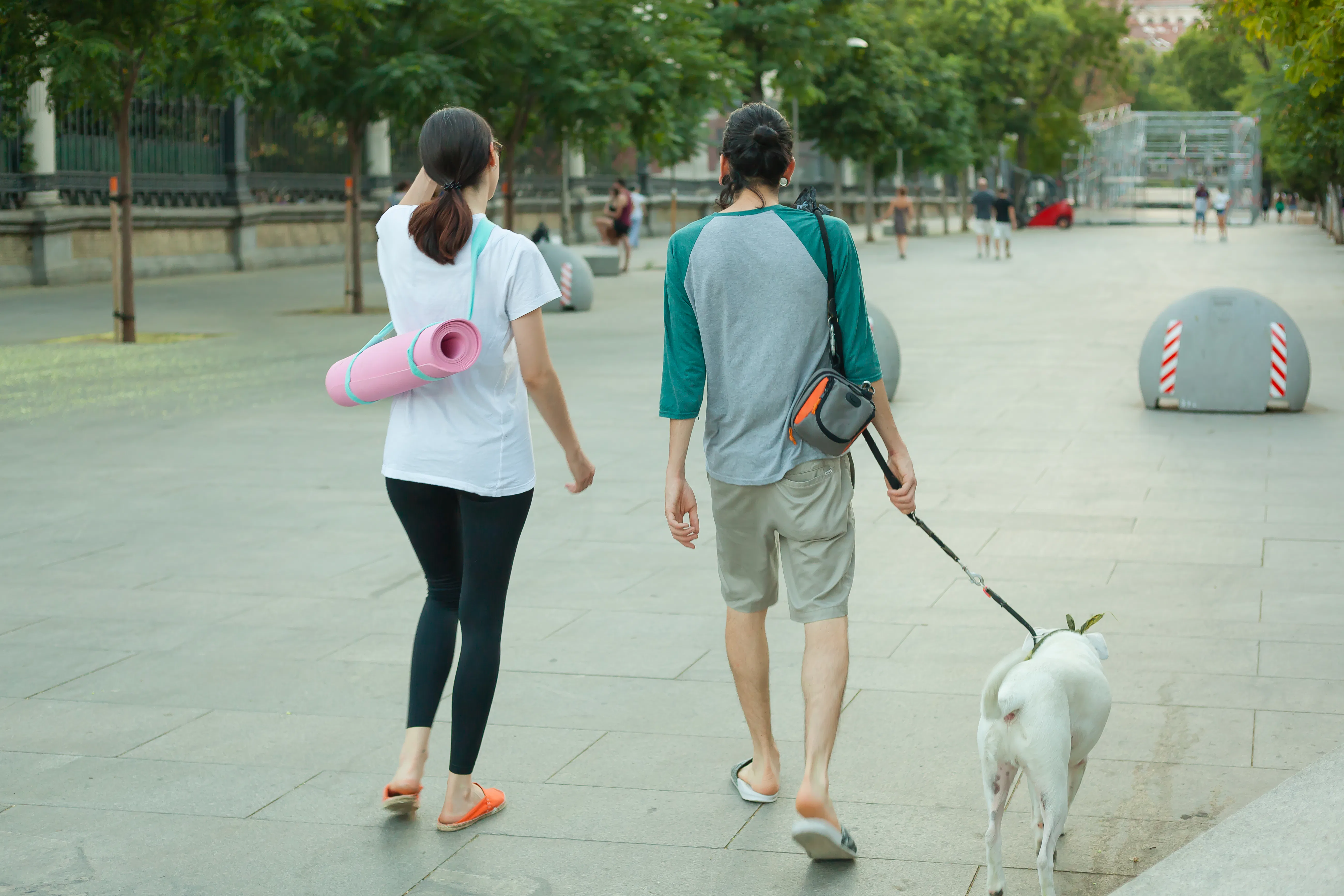9 Bonding Activities To Do With Your Dog & Partner To Bring Your Loves ...