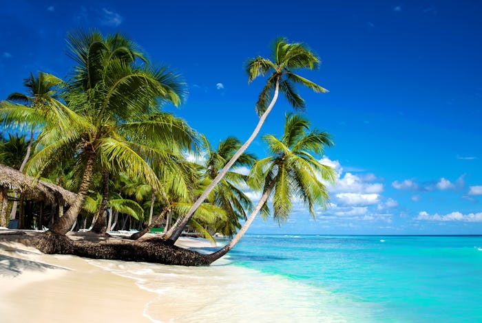 Tropical beach in caribbean sea, Saona island, Dominican Republic