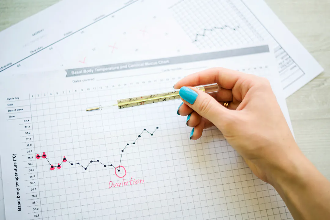Does The Flu Shot Affect Ovulation Experts Weigh