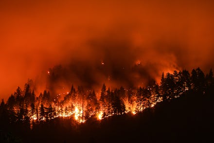 Eagle Creek Wildfire in Columbia River Gorge, Or