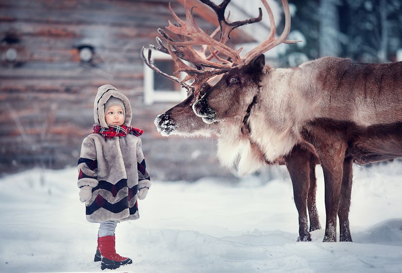 little girl in winter with animals. Image with selective focus and toning.