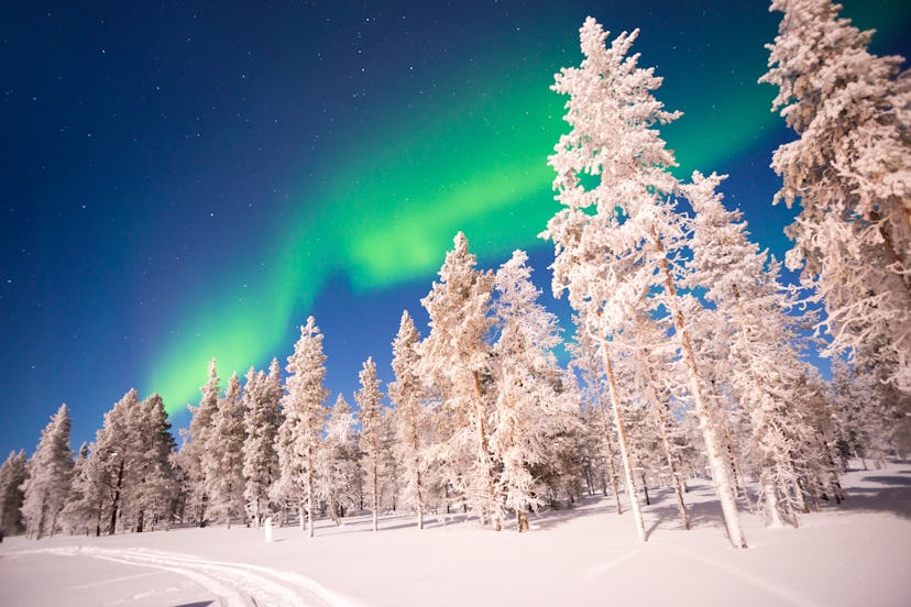 Northern lights, Aurora Borealis, are just one thing to see in Lapland, Finland when choosing it as ...