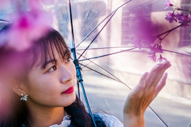 Outdoor portrait of a young Vietnamese girl holding a clear umbrella. She stands under a cherry blos...