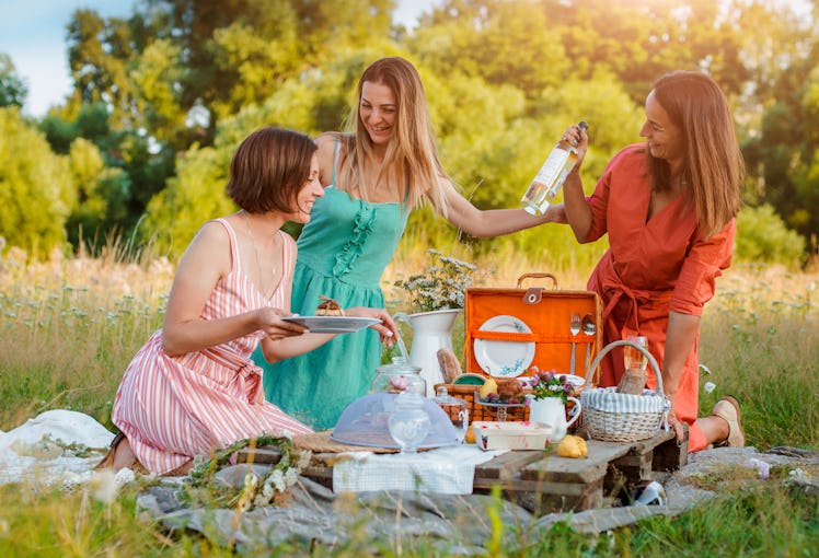 three Beautiful young girlfriend girls women on a picnic in the summer fun to celebrate and drink wi...