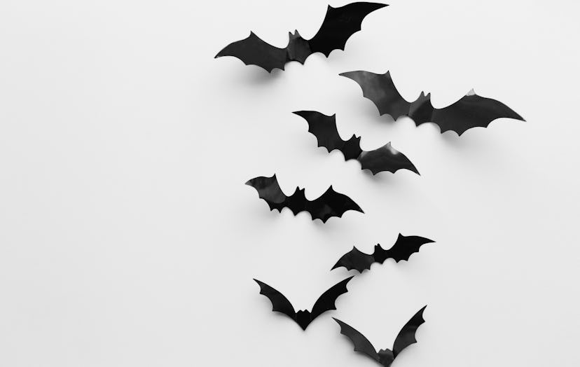 halloween, decoration and scary concept - black bats flying over white background