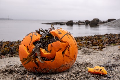 Garbage - broken pumpkin - on the sea shore after Halloween part in Norway