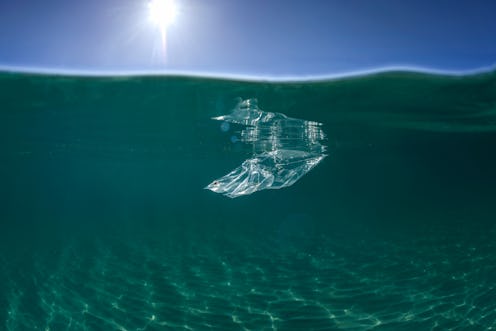 Plastic in the ocean, Sydney Australia