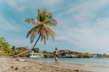 A girl stands on a tropical beach in Hawaii that's covered with palm trees.