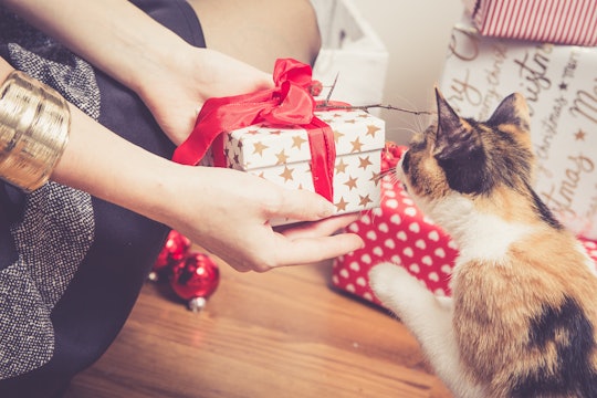 Study reveals people spend a lot of money on their pets for the holidays.