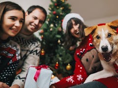 A group of friends dressed in holiday sweaters gather in front of the Christmas tree with a dog who ...