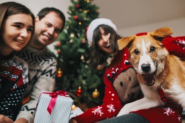 A group of friends dressed in holiday sweaters gather in front of the Christmas tree with a dog who ...