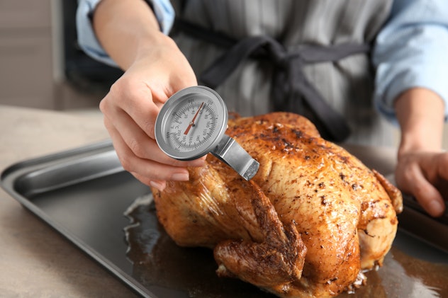 Young woman measuring temperature of whole roasted turkey with meat thermometer