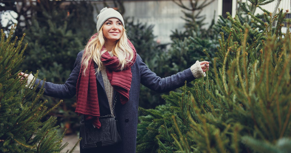 28 Captions For Picking Out Your Christmas Tree That Are Sappy Sweet 28 Captions For Picking Out Your Christmas Tree That Are Sappy Sweet