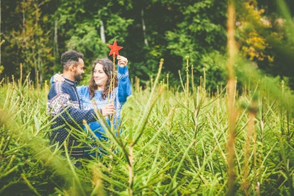 A couple looks at each other and puts a star on top of a Christmas tree in a Christmas tree field.