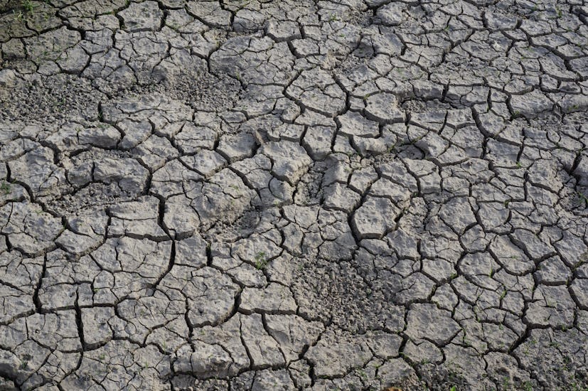 A picture of cracked soil. 