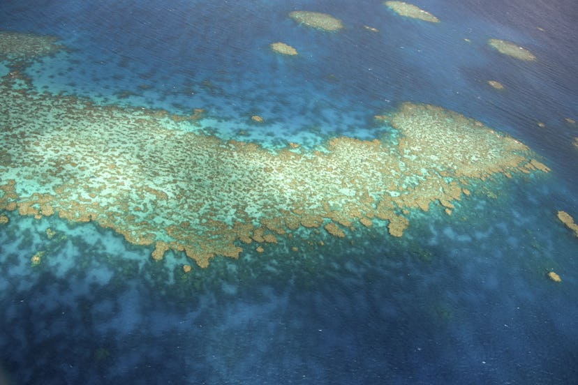 Aerial view of the breakwaters on the Agincourt Reefs, Queensland, Australia