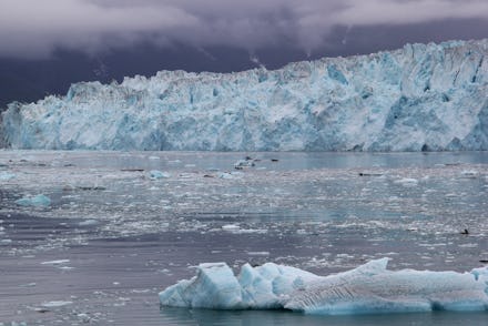 Alaska and Alaska Cruise views