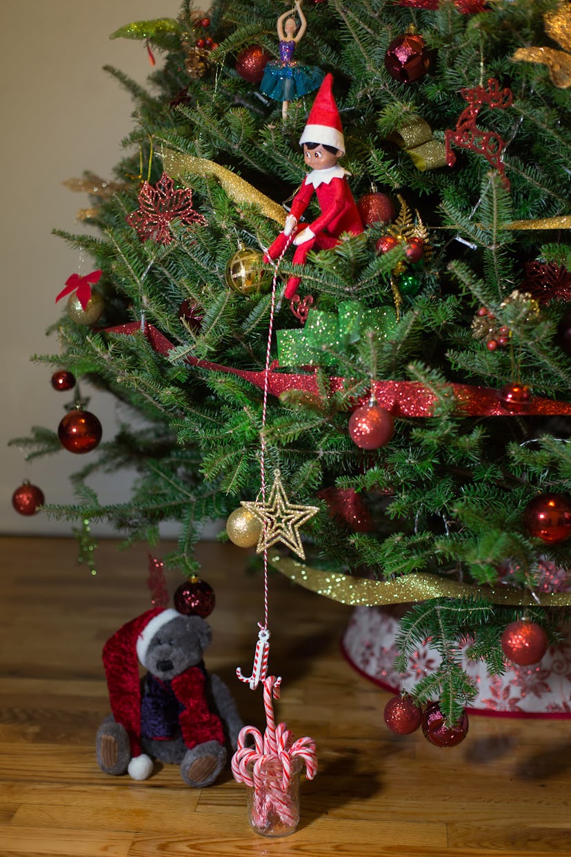 Elf on the shelf sitting on the tree with a bear. Candy cane under the tree. Bear in Christmas hat 
