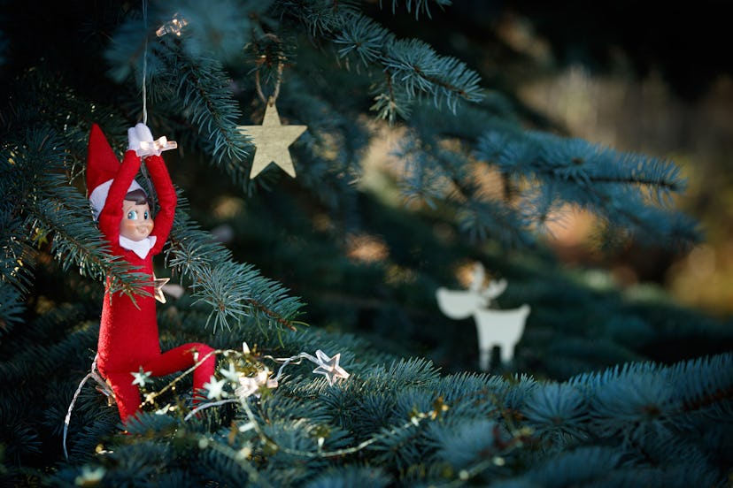 Elf toy hanging on a garland on the branches of a blue Christmas tree on a background of toys hangin...