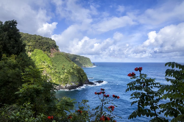 Hana Road is a long, winding which start in Kahului, Hi and ends in Hana, Hi on the island of Maui. ...