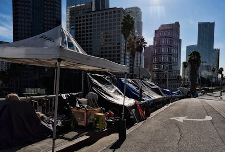 A homeless encampment is seen along a street in downtown Los Angeles next to the 110 freeway on . Th...
