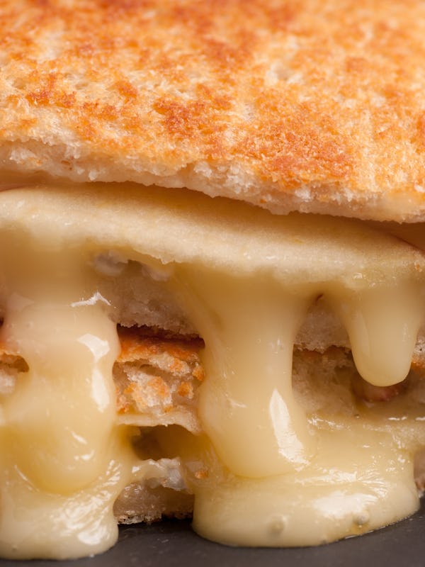 grilled cheese sandwiches with apple and brie, take out style