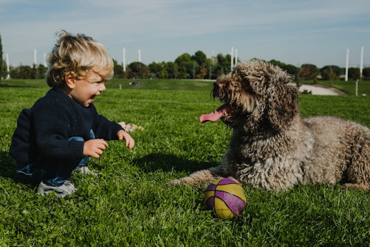 Small and sweet blond boy playing with his nice brown spanish water dog. Enjoying the park on a sun...
