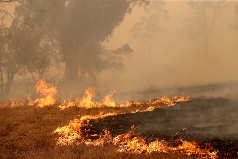 The Cuddle Creek fire destroys a plot of land at Woodside, in the Adelaide Hills in Adelaide, Austra...