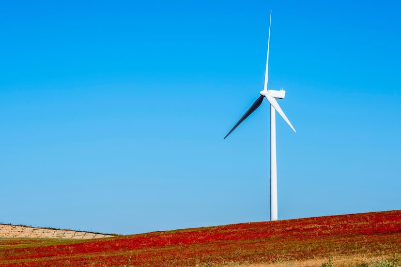 Wind turbine on hillside in a field of red poppies (Papaver rhoeas) Almargen, Malaga, Andalucia, Spa...