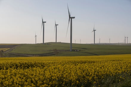 A view on wind turbines and a canola field in Istanbul, Turkey 22 April 2018. Turkey expands the cap...