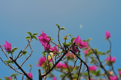 Solar eclipse in Bintan Island, Indonesia.