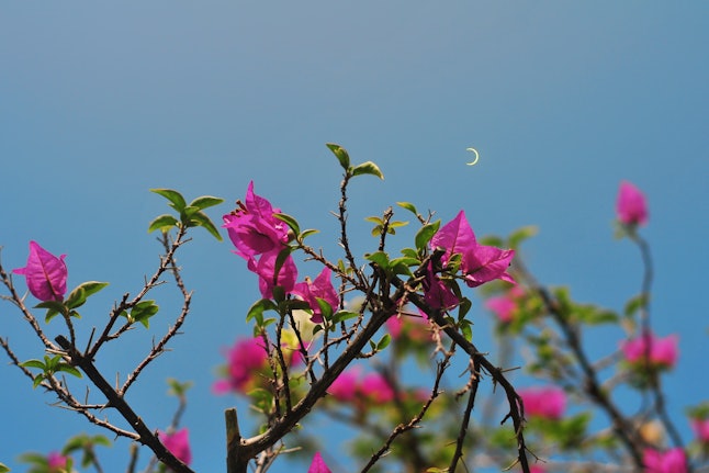 Solar eclipse in Bintan Island, Indonesia.