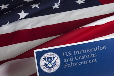 US Customs and Border Enforcement and USA flag