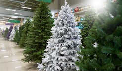 a row of artificial Christmas trees in green, purple and white at a decor store